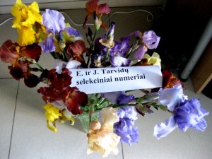 1 1TarvyduIMG_3146